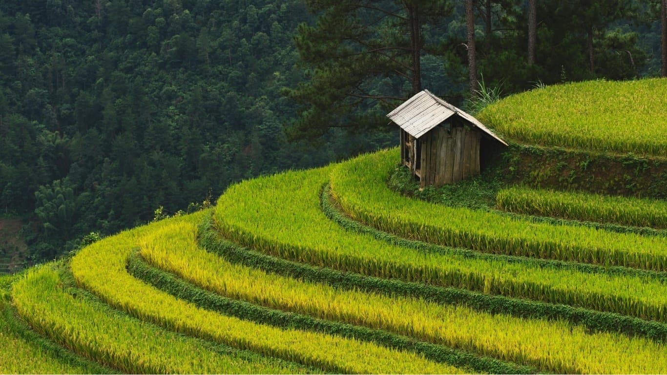 Sagada & Banaue Cultural Tour