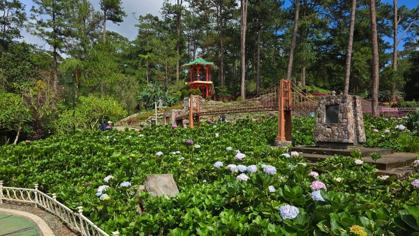 Baguio Mountain Escape Package — photo 2