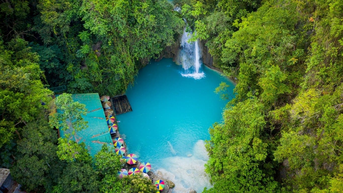 Cebu Whale Shark & Falls Adventure — photo 3