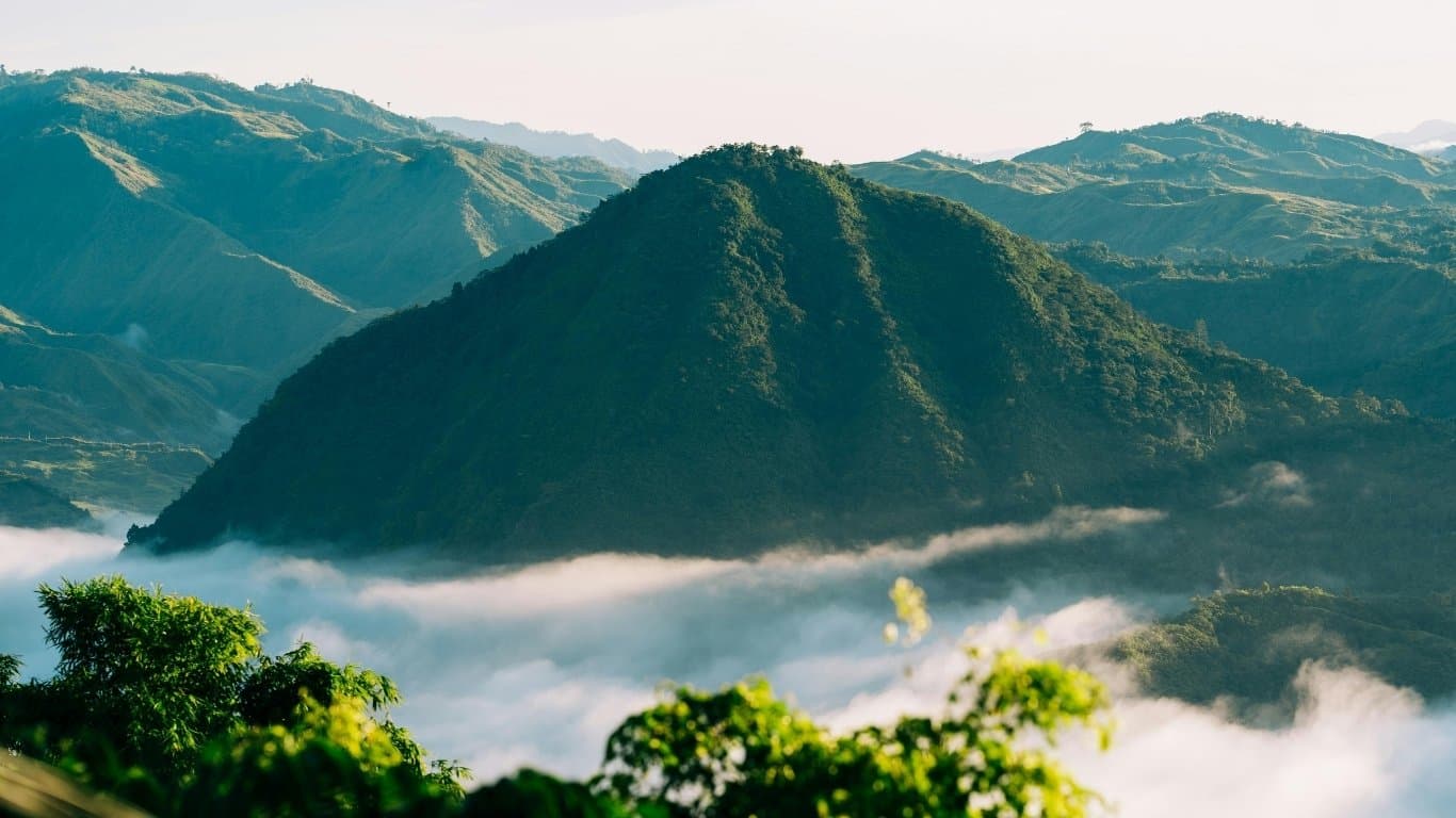 Davao Nature & Wildlife Tour