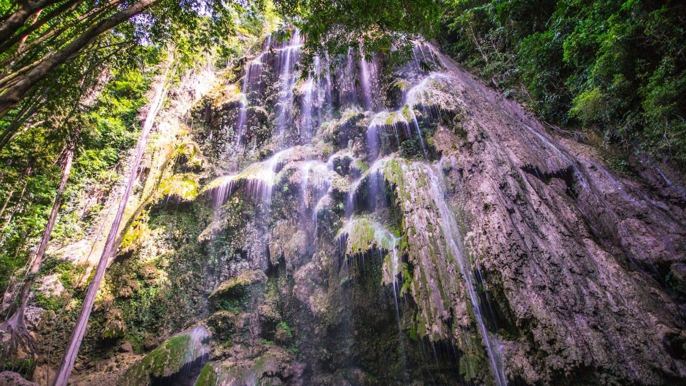 Cebu Whale Shark & Falls Adventure — photo 2