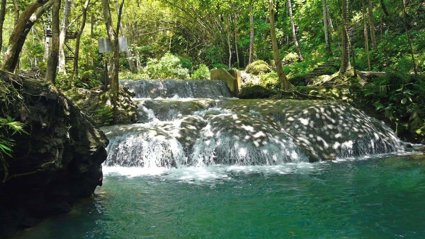 Davao Nature & Wildlife Tour — photo 2