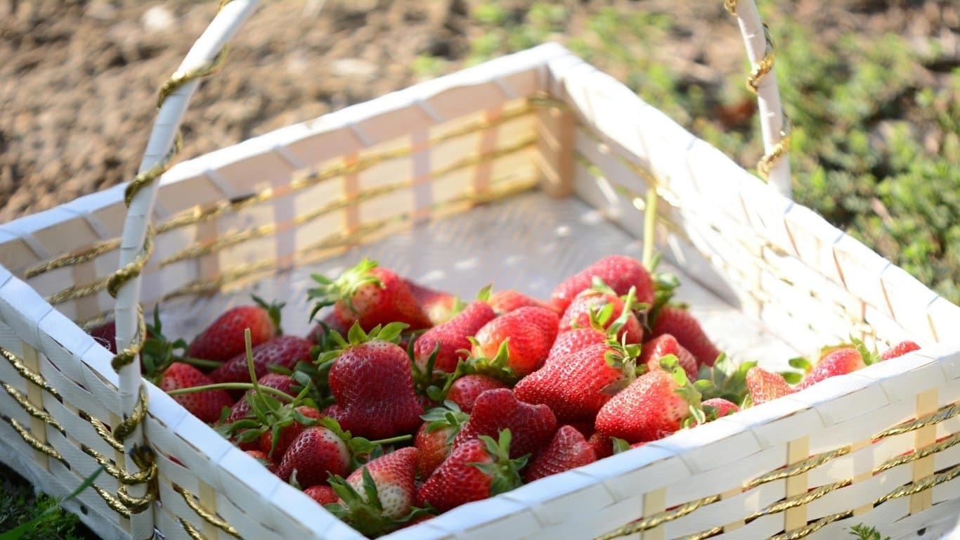 Baguio Mountain Escape Package — photo 3