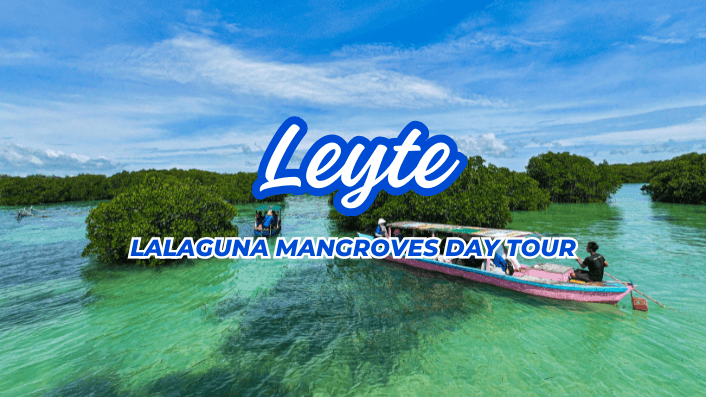 Lalaguna Mangroves Daytour