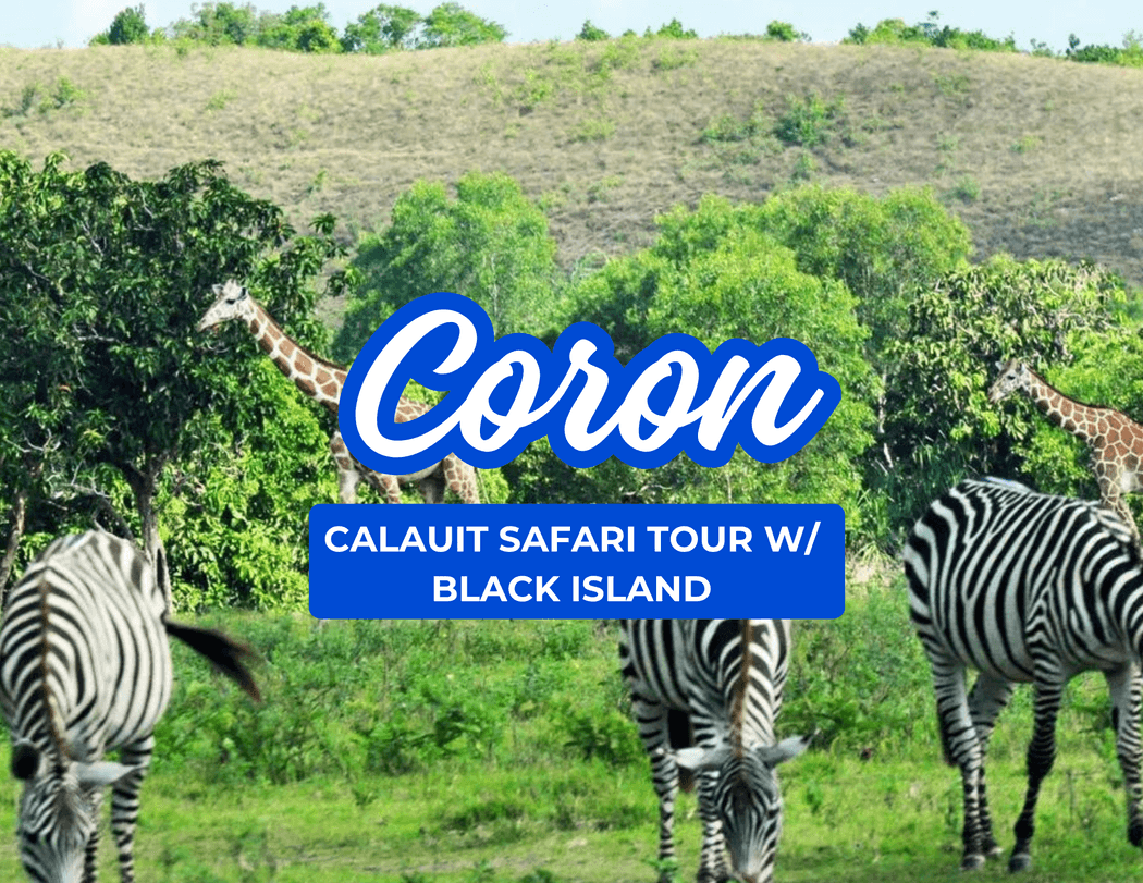 Calauit Safari(F2) with Lunch