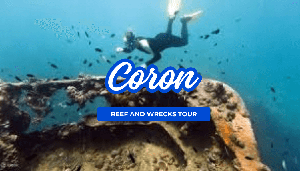 Coron Reef and Wrecks with Lunch