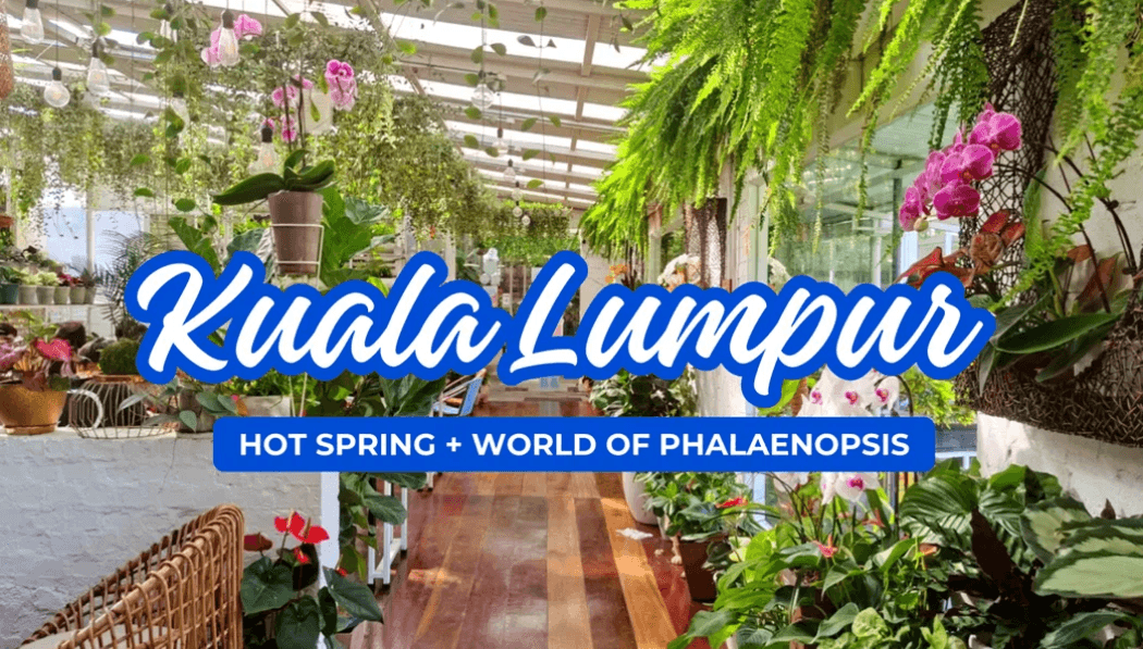 Hot Spring + World of Phalaenopsis