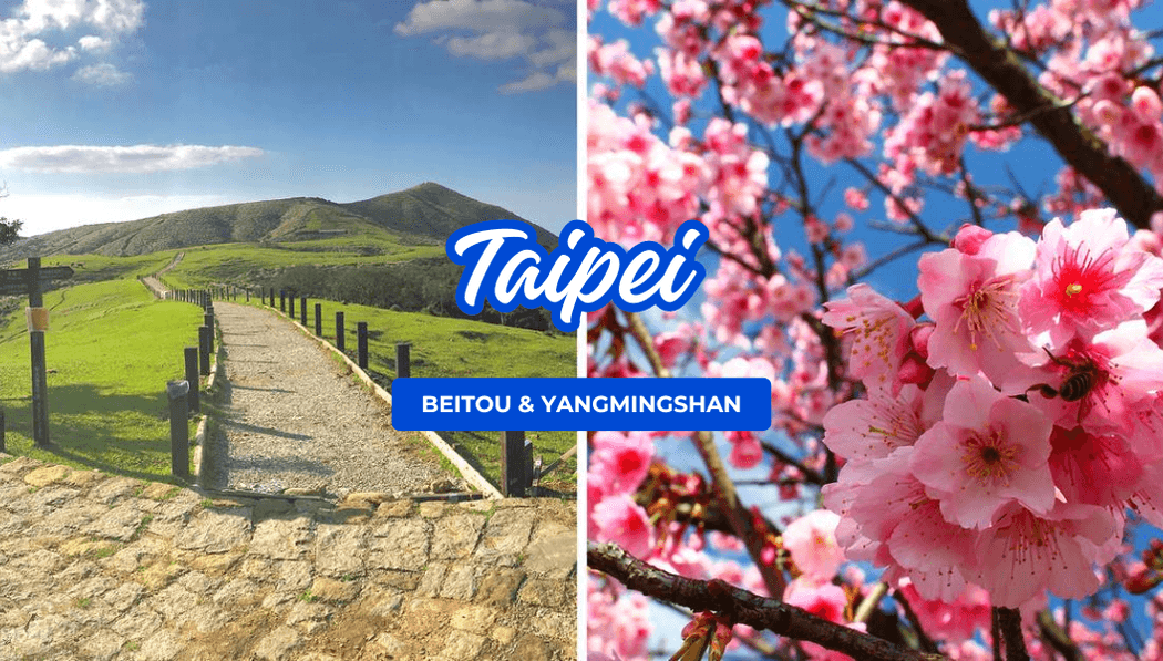 Beitou and Yangmingshan Day Tour From Taipei