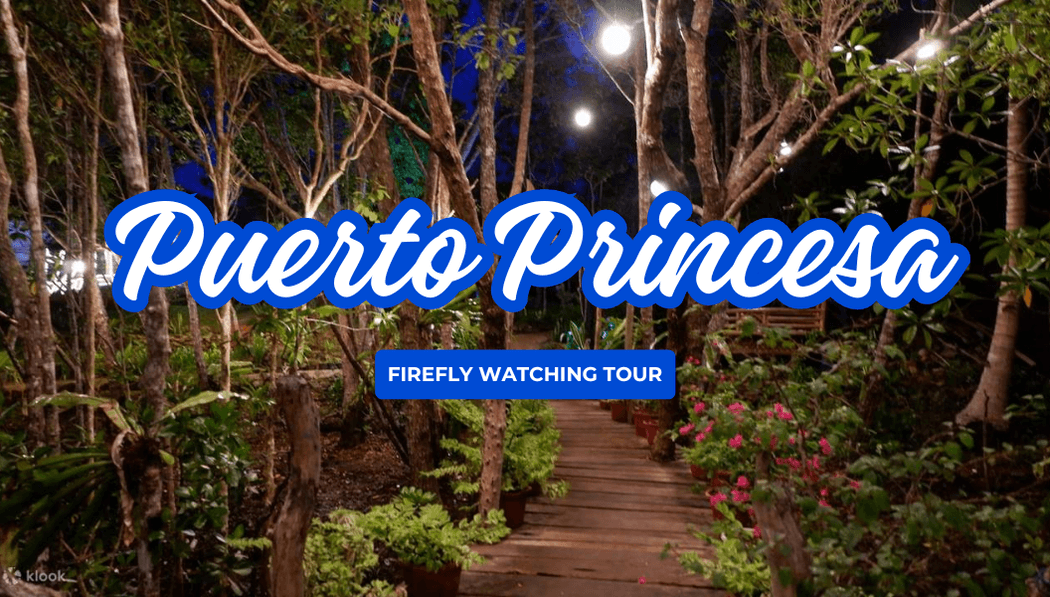 Puerto Princesa Firefly Watching Tour