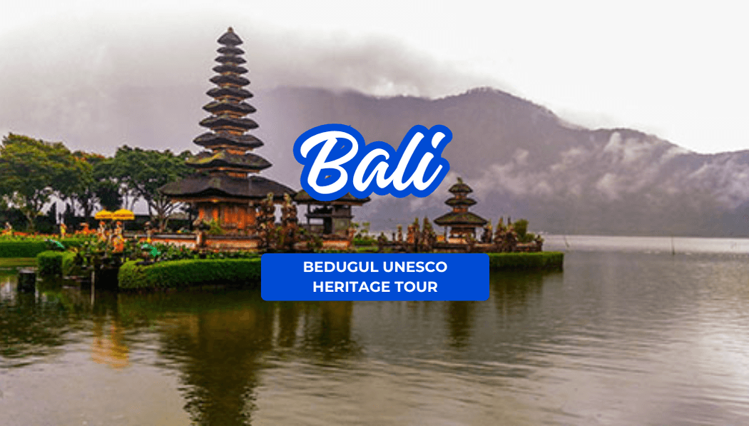 Bali Bedugul Unesco Heritage Tour
