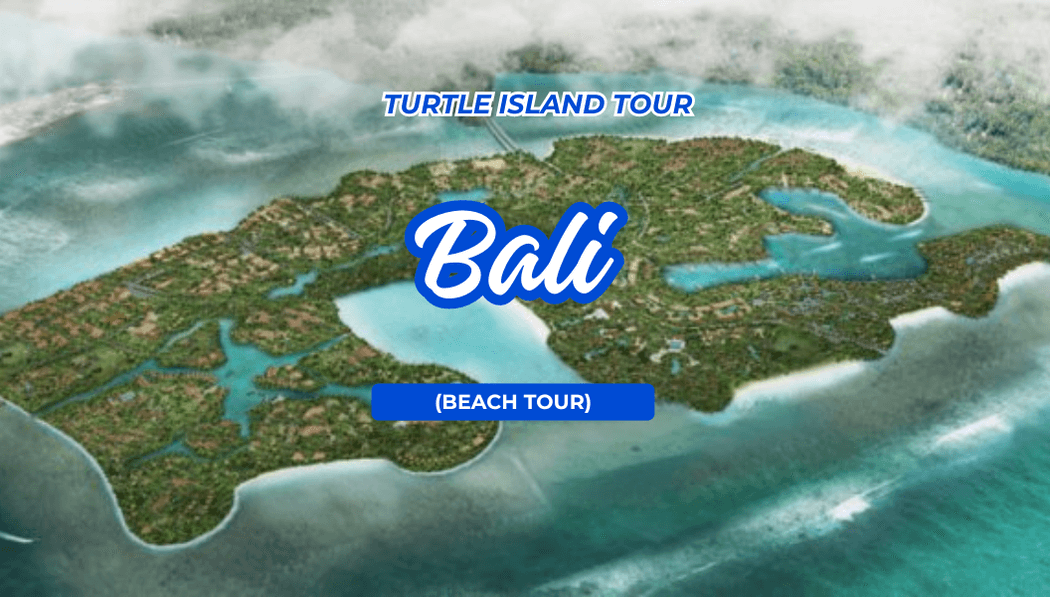 Turtle Island Tour (Beach Tour)