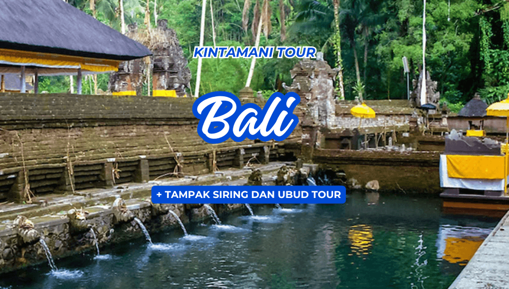 Kintamani Tour + Tampak Siring Dan Ubud Tour