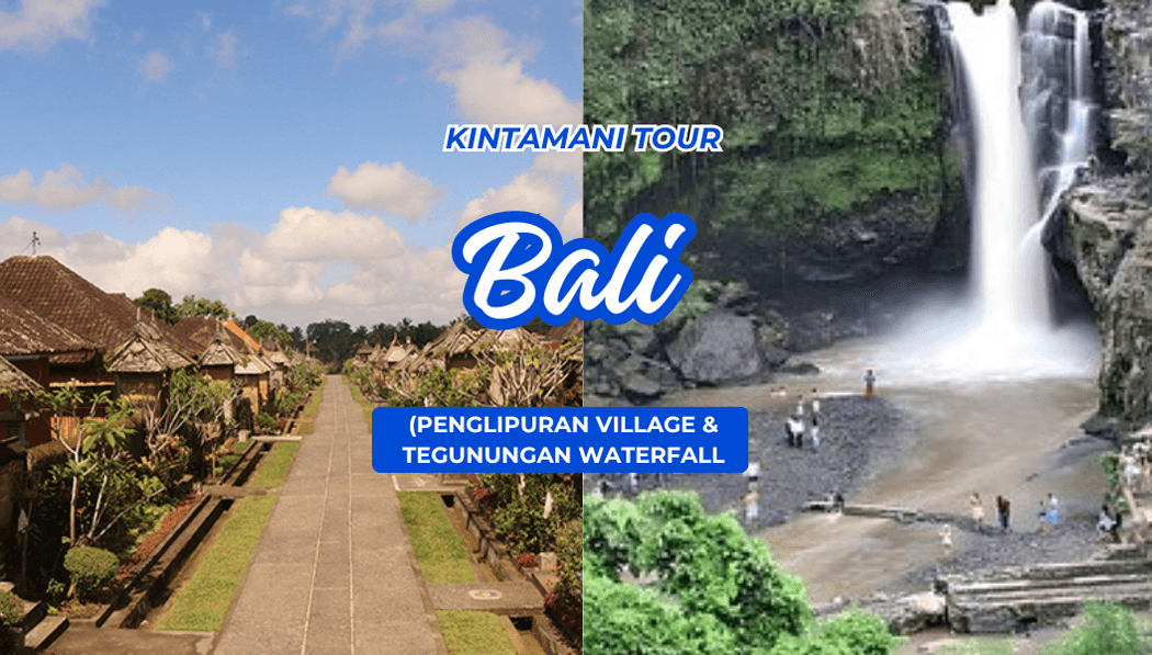Full Day Kintamani Tour + Waterfall