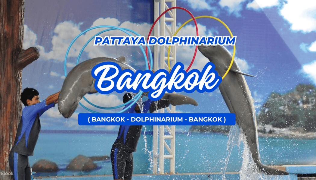 Pattaya Dolphinarium