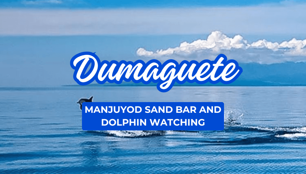 Dumaguete-Manuyod Sand Bar+ Dolphin Watching