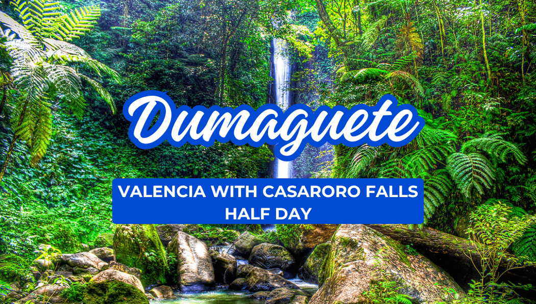 Dumaguete-Half Day Valencia + Casaroro Falls
