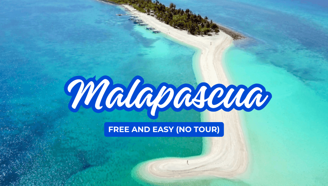 Malapascua Free & Easy (No Tour)
