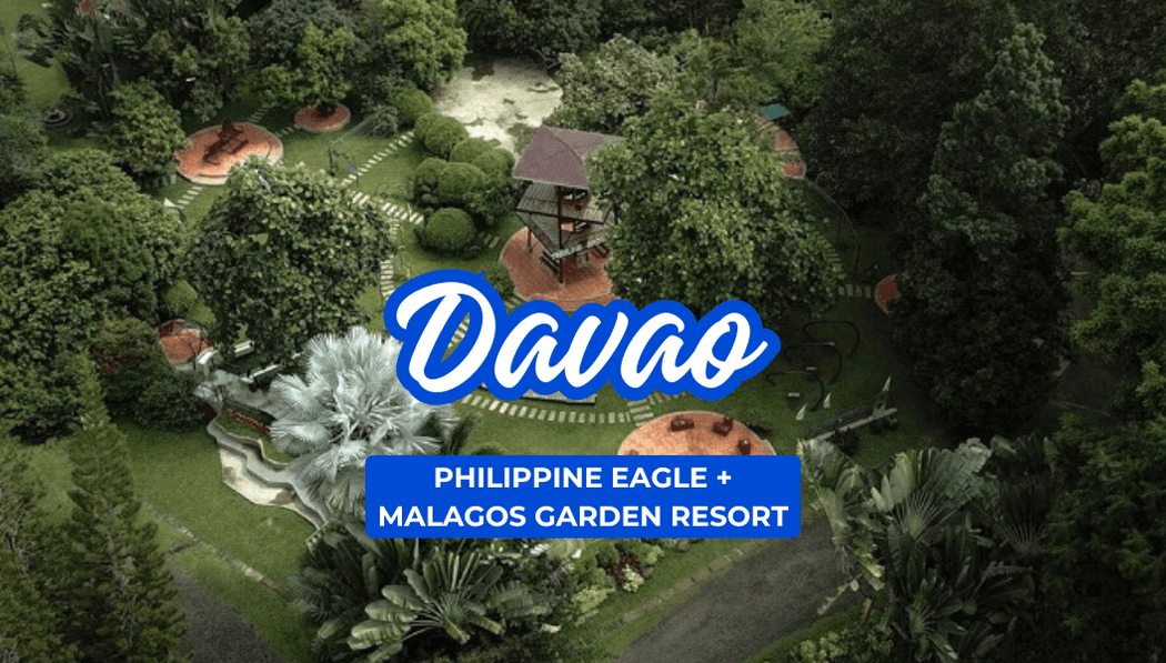 Philippine Eagle + Malagos Garden Resort