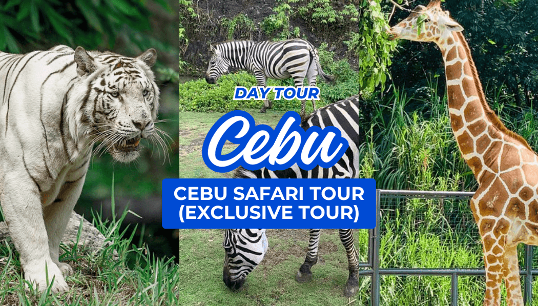 Cebu Safari Adventure Park