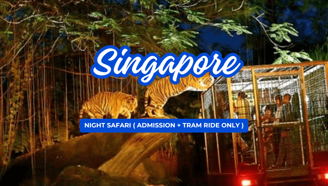 Night Safari