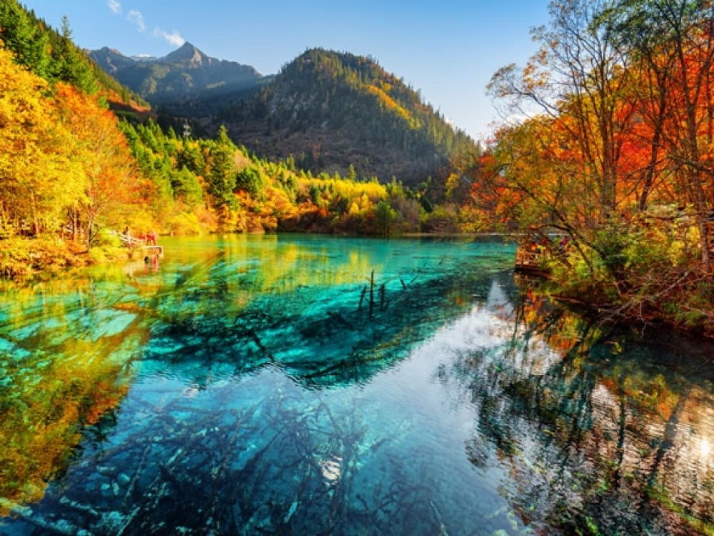 5D4N Chengdu Jiuzhaigou